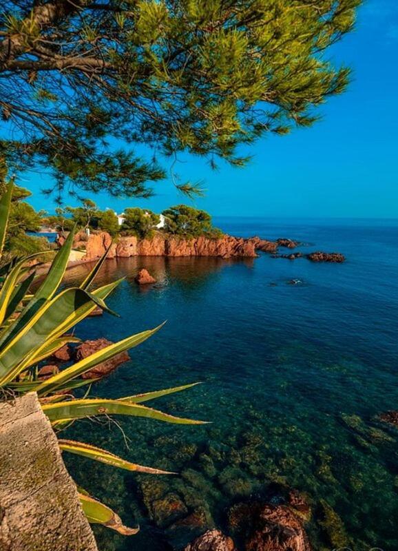Dans Un Cadre D'Exception, Vue Mer Panoramique A Agay Cote D'Azur, Village Vacances Cap Esterel, T2 Avec Jardin, Golf, Climatisation, Wifi, 5 Piscines Saint-Raphaël エクステリア 写真